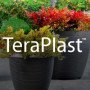 Teraplast clear madeira 22 clearmadeira 22 clear