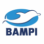 Bampi placca zeta 2 tasti bianca b01ncqvywx b01ncqvywx