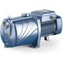 Pedrollo 4cpm100 43cpn286a1 - hp 1