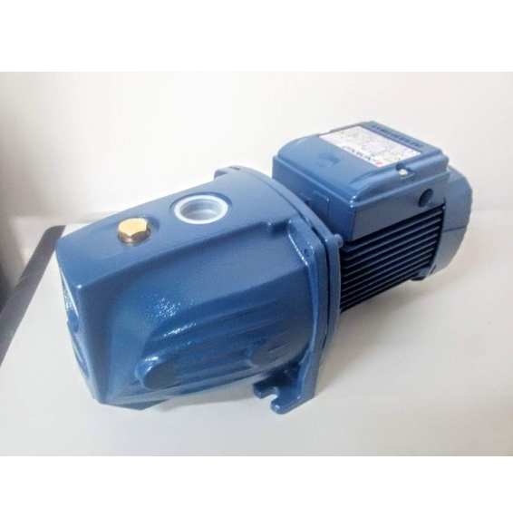 Elettropompa autoadescante 1hp j sw m2cx noryl 220v pompa acqua p