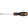 Topex 04-044 giravite torx t15 x x 100 mm, crmo ds