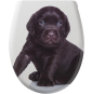 Tiger Labrador Sedile per WC, Bianco, 45.2x52.1x3.7 cm