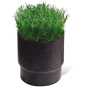 Rainbird sc sod cup per sprinkle r pop-up serie 8005, nero, 10 x