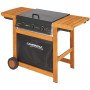 Adelaide 3 woody dualgas campingaz 3000005744