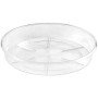 Teraplast clear plato 24 clear plato 24 clear