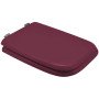 Dianhydro copriwater coprivaso sedile wc x ideal standard vaso c