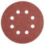 Topex 55h939 disco levigante con on velcro 125 mm k40 5 pezzi ds