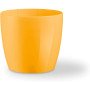 Teraplast colour madeira 11 curry