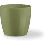 Teraplast colour madeira 11 olive