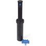 Rainbird 3504 pc pop up 10 cm (5 pezzi), nero