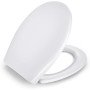 Sedile wc in formaldeide urea, apexforge universale antibatteric
