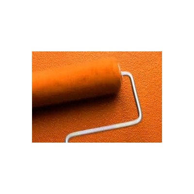 GUAINA LIQUIDA ELASTOMERICA ELASTOFIN S TRASPARENTE KG.10