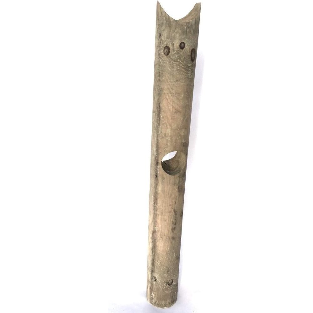 D) pali impregnati diam. 10 lung losa pali101501i